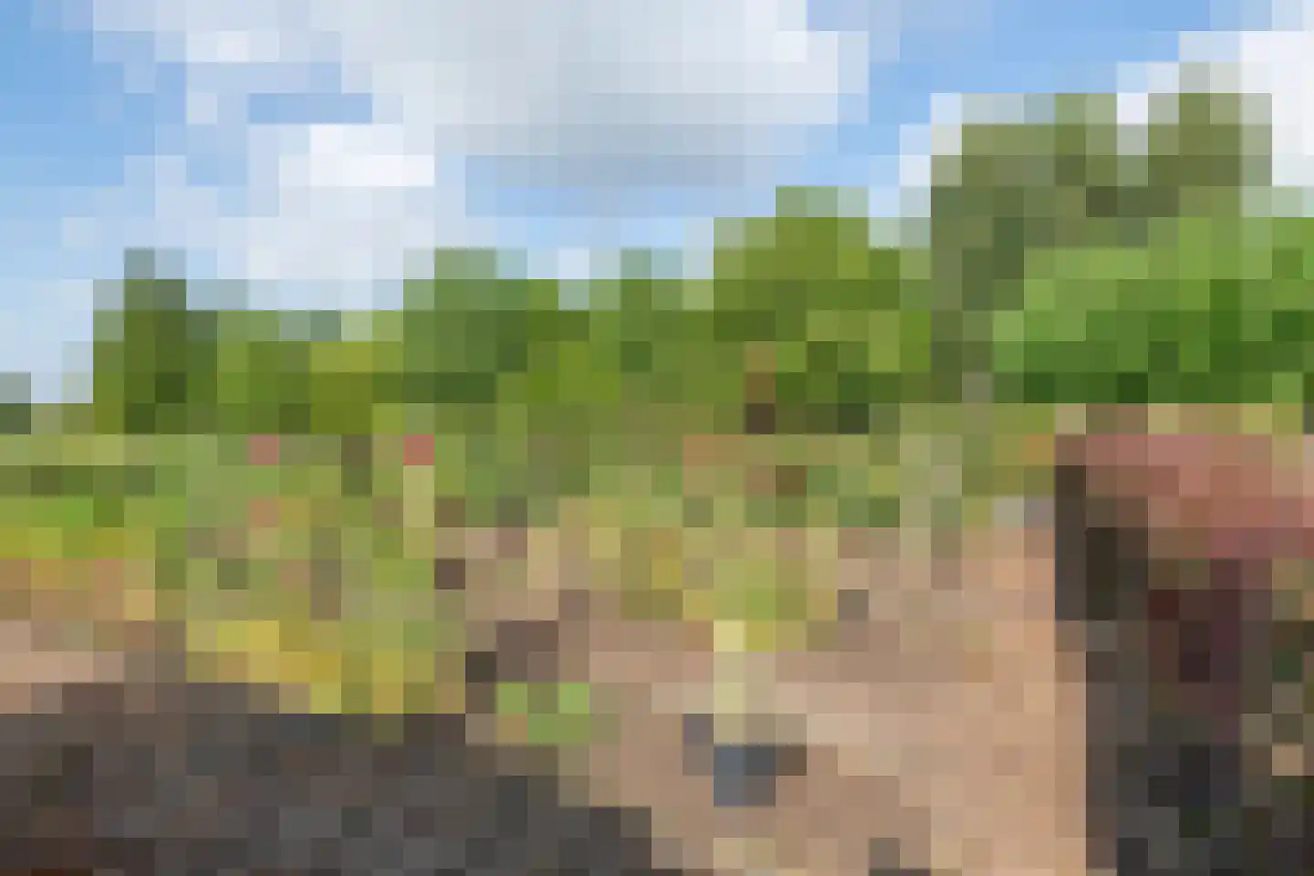 Winjewaweg 3 Ingen thumbnail 8