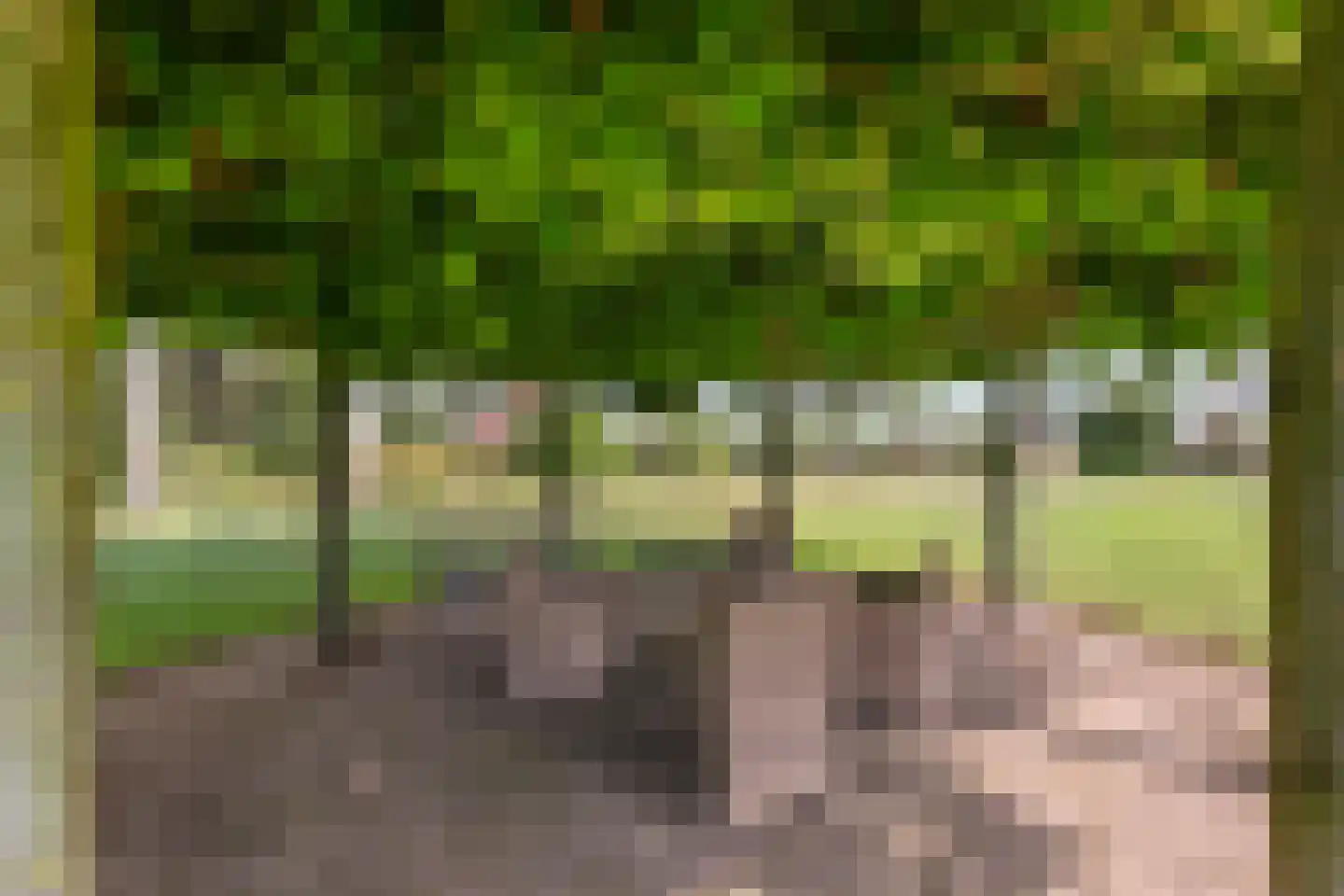 Winjewaweg 3 Ingen thumbnail 9