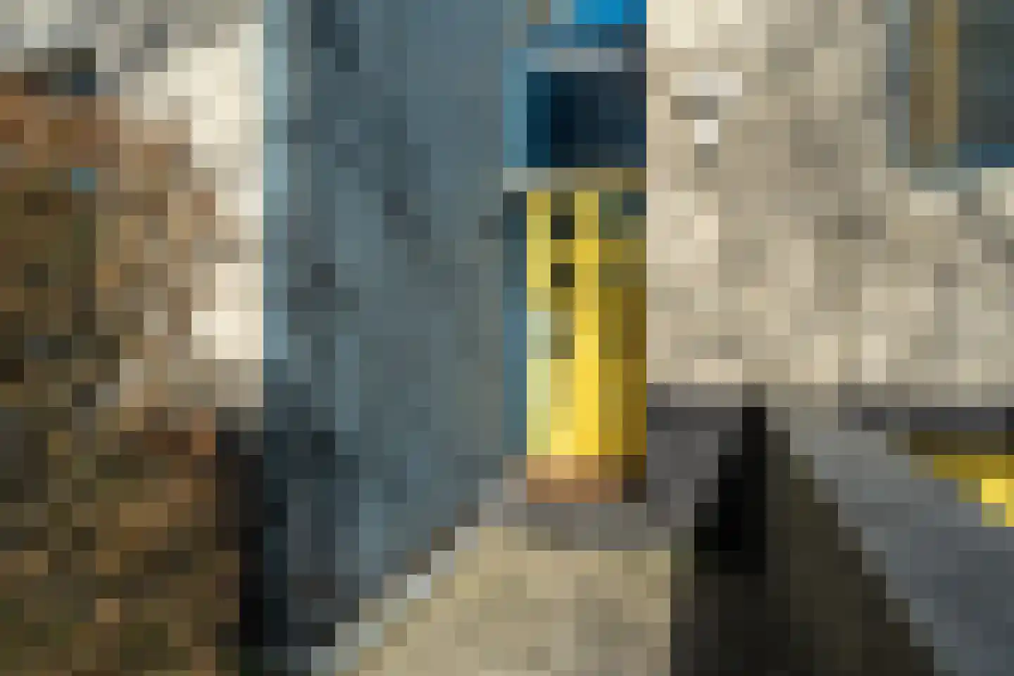 Winkelakkers 7 Zuidlaren thumbnail 11