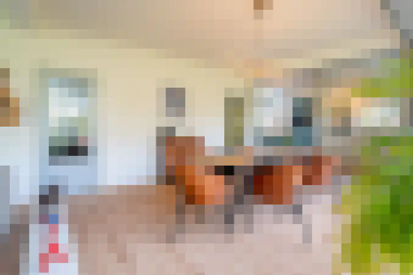 Winkelakkers 7 Zuidlaren thumbnail 21