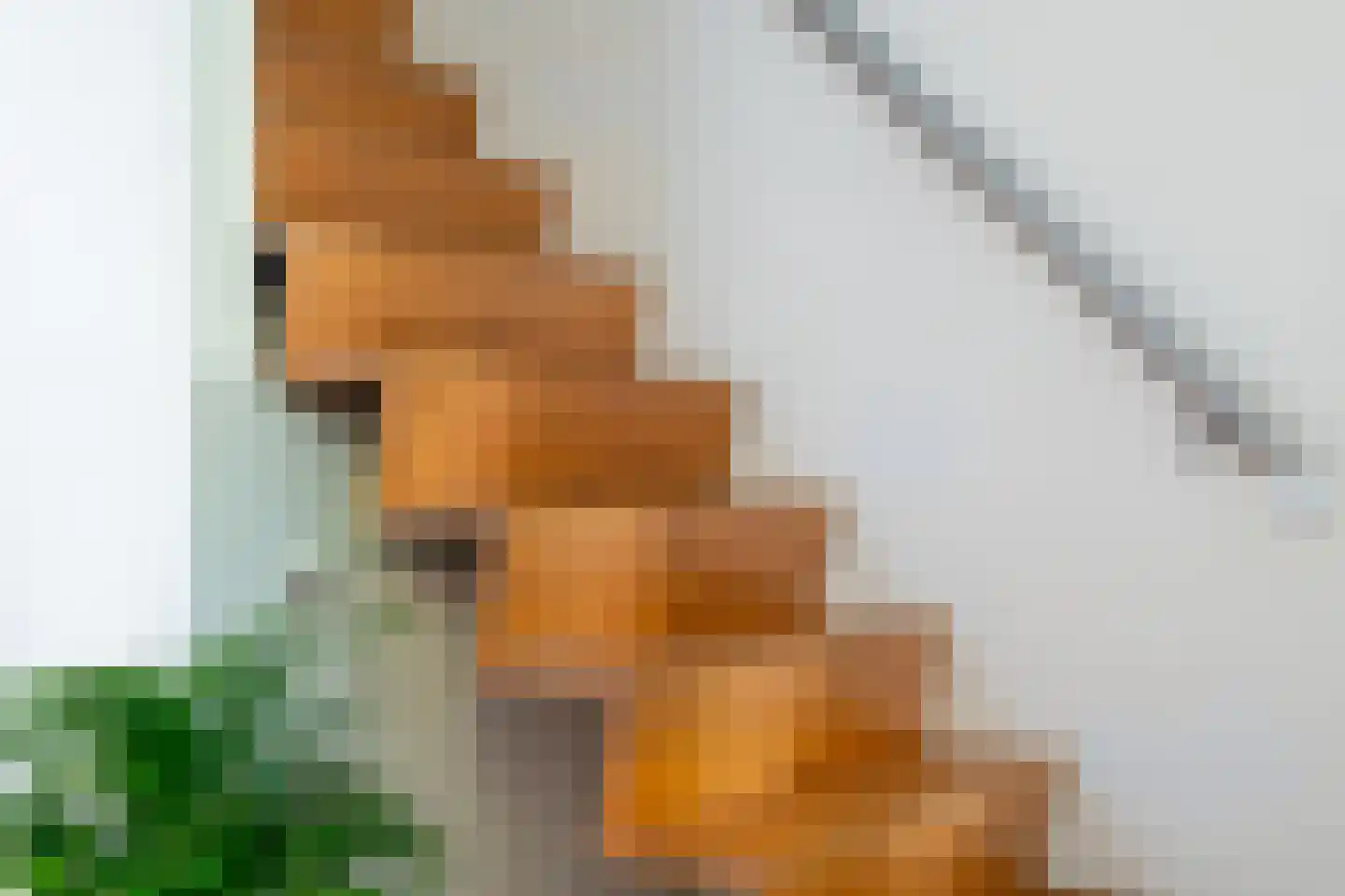Winkelakkers 7 Zuidlaren thumbnail 41