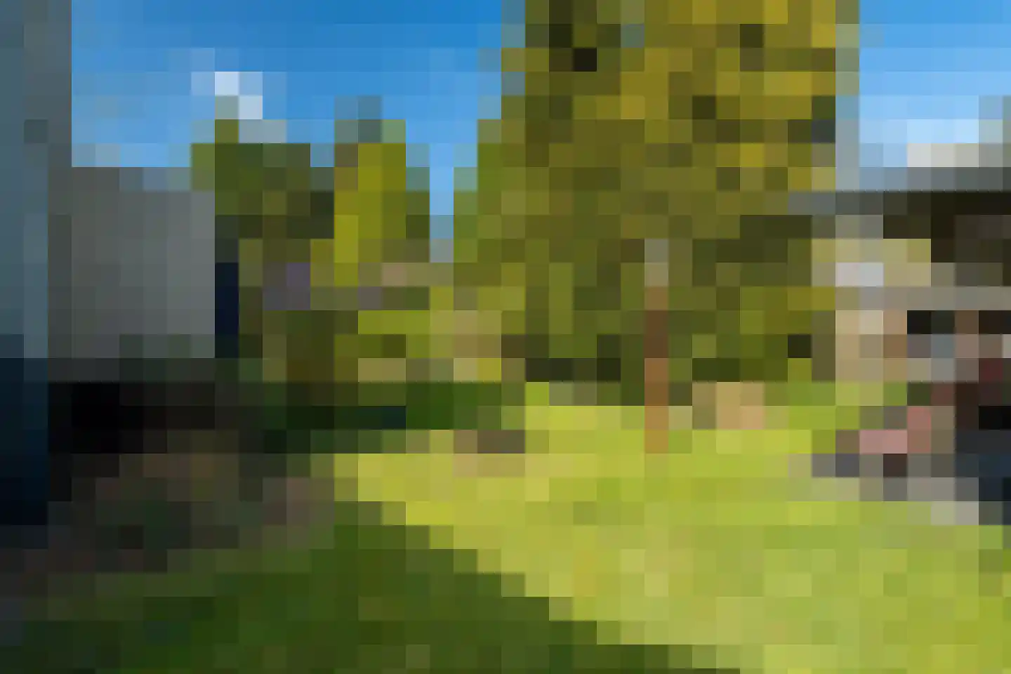 Winkelakkers 7 Zuidlaren thumbnail 59