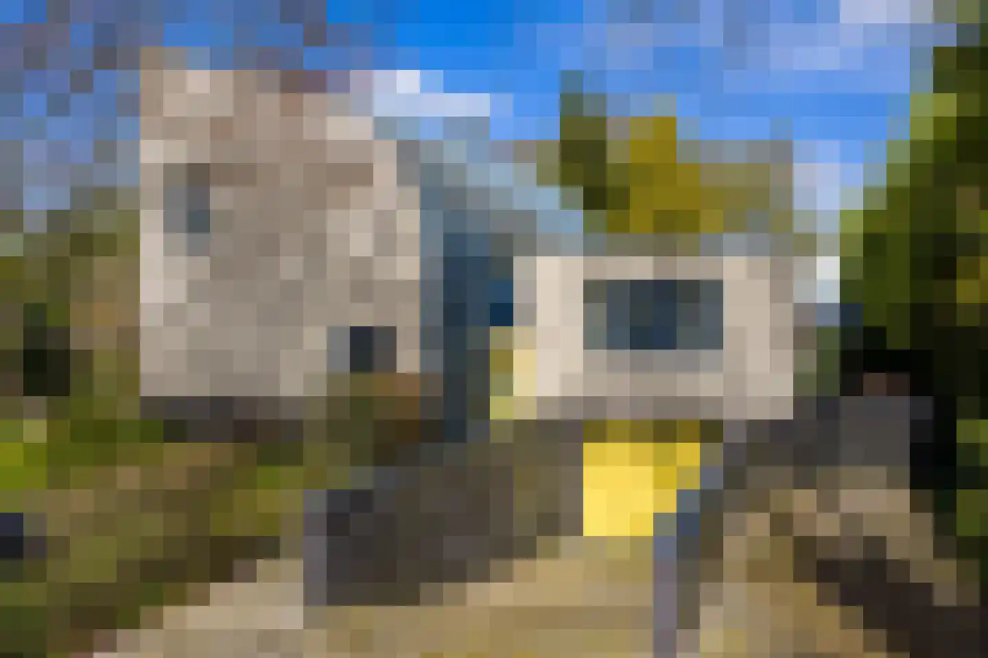 Winkelakkers 7 Zuidlaren thumbnail 66