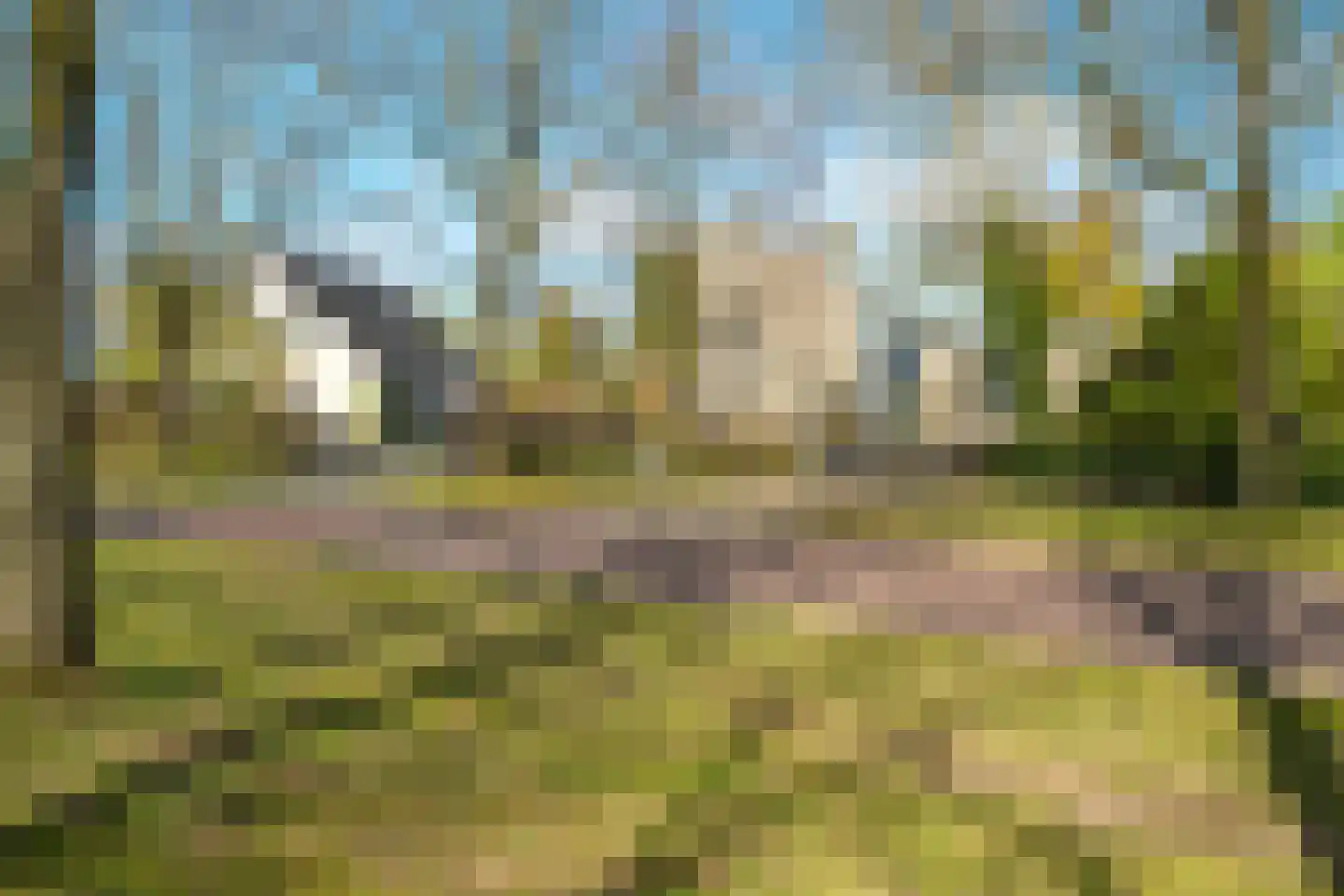 Winkelakkers 7 Zuidlaren thumbnail 69