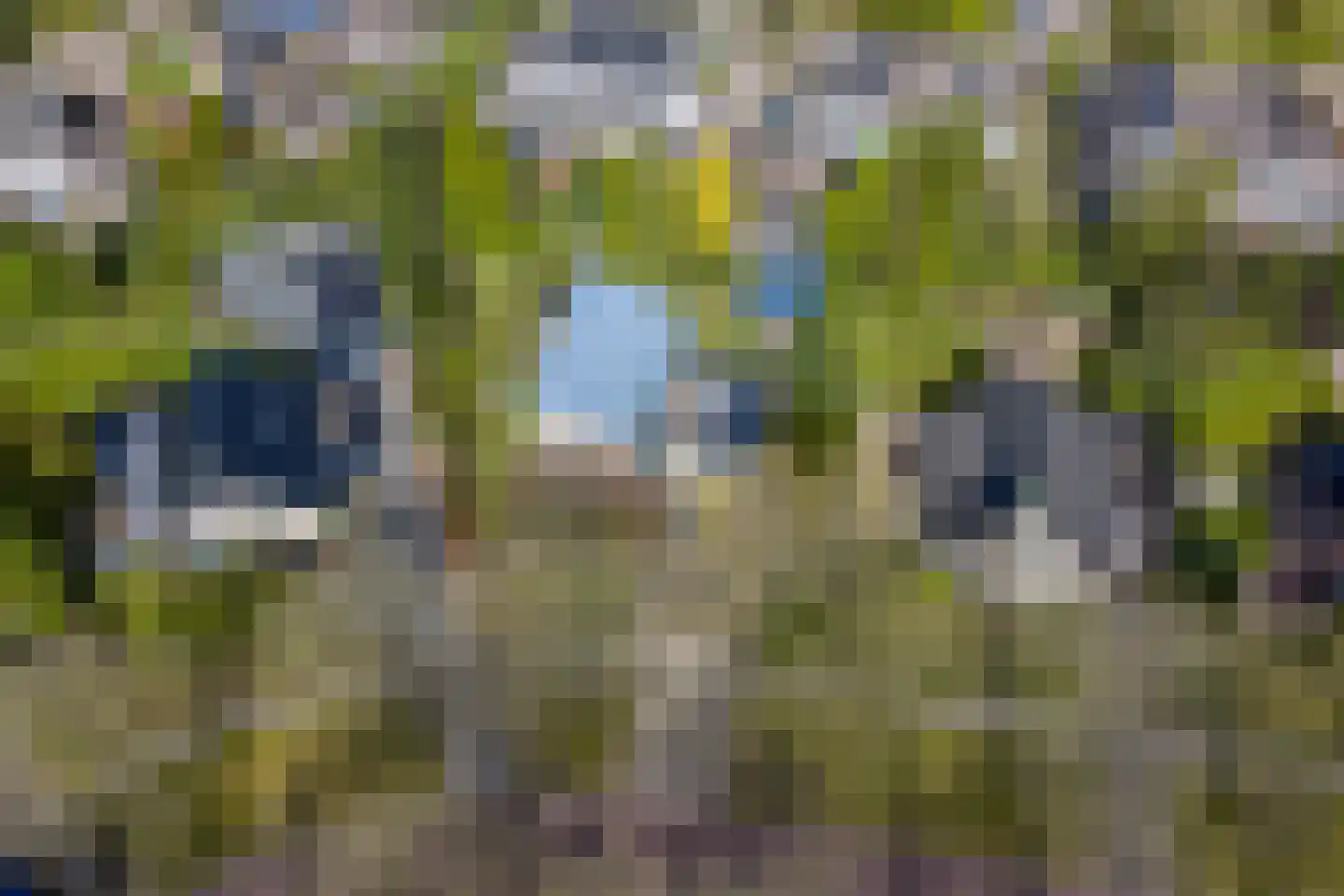 Winkelakkers 7 Zuidlaren thumbnail 70