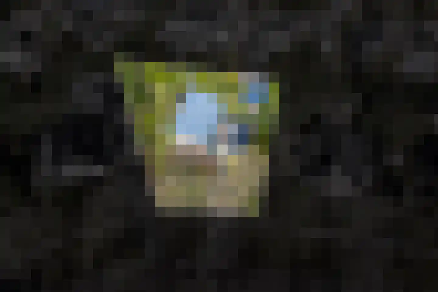 Winkelakkers 7 Zuidlaren thumbnail 71