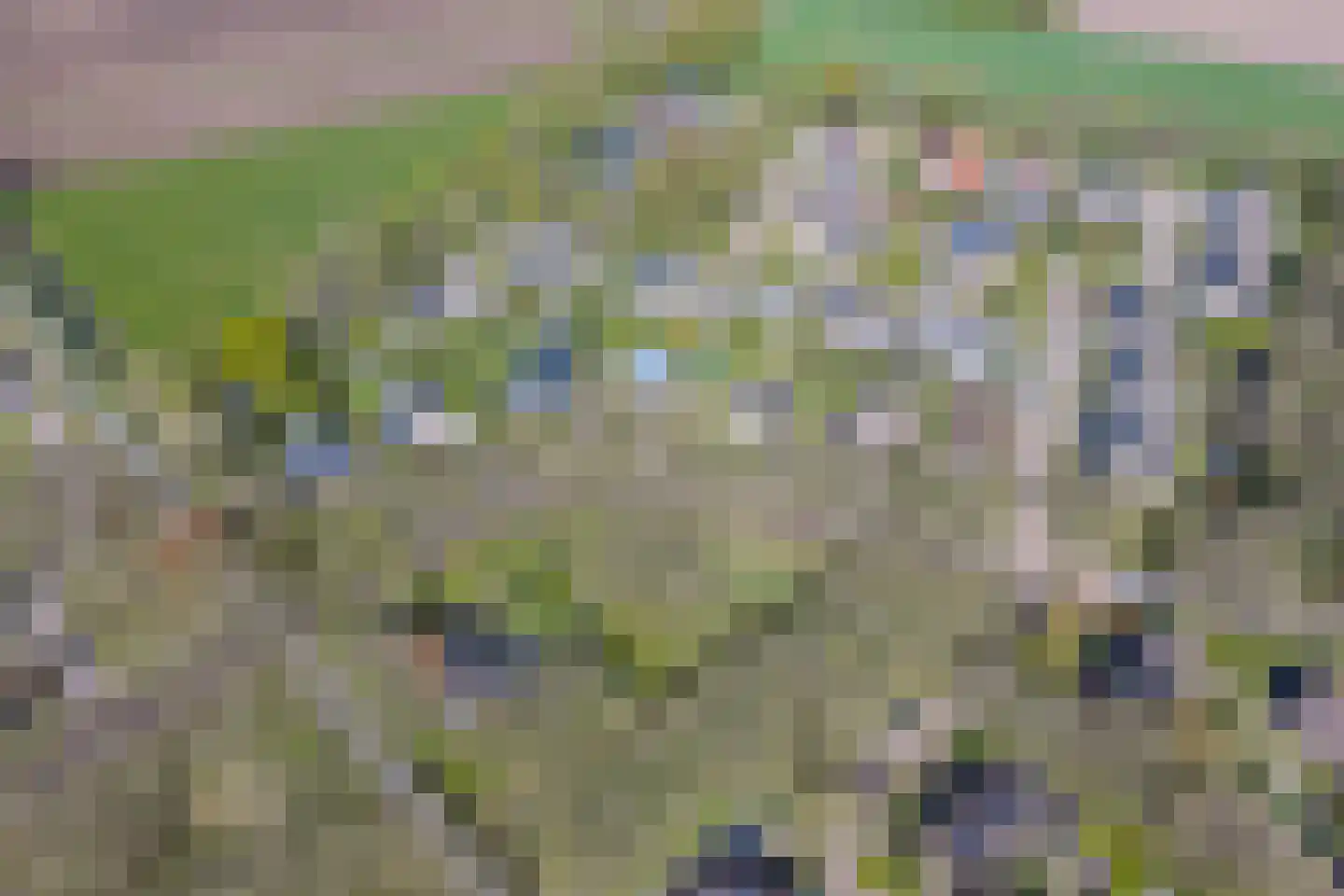 Winkelakkers 7 Zuidlaren thumbnail 73