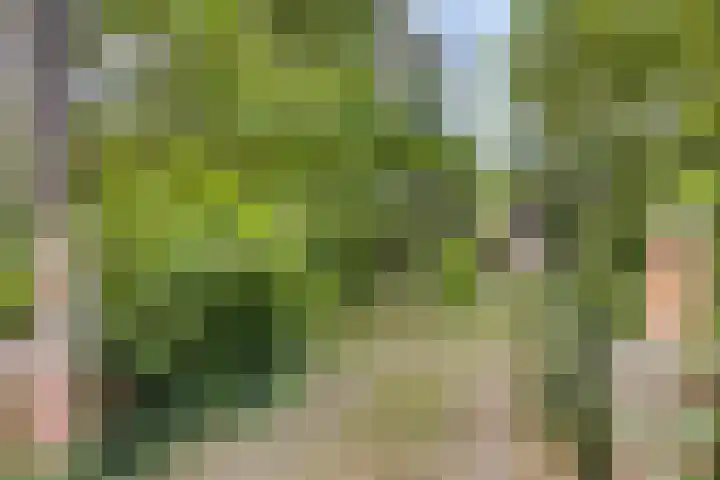 Winkelbergweg 15 Holten thumbnail 22