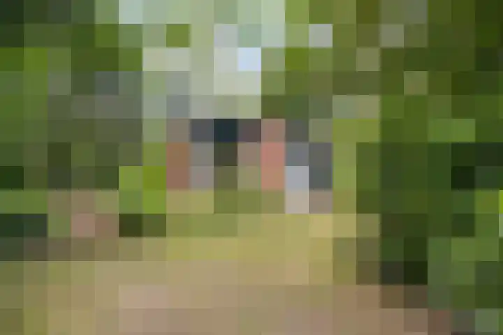 Winkelbergweg 15 Holten thumbnail 23