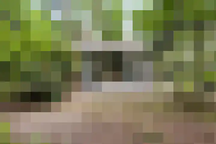 Winkelbergweg 15 Holten thumbnail 24