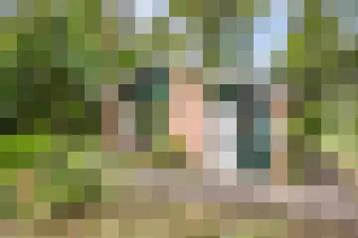 Winkelbergweg 15 Holten thumbnail 25