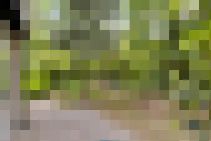 Winkelbergweg 15 Holten thumbnail 26