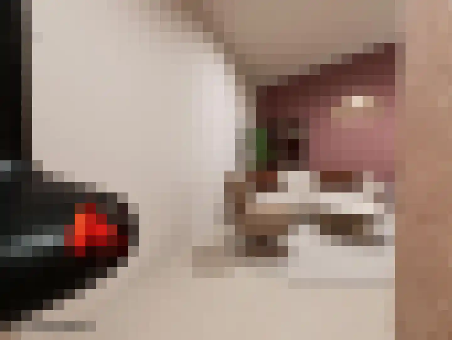 Winkelbergweg 16 Holten thumbnail 13