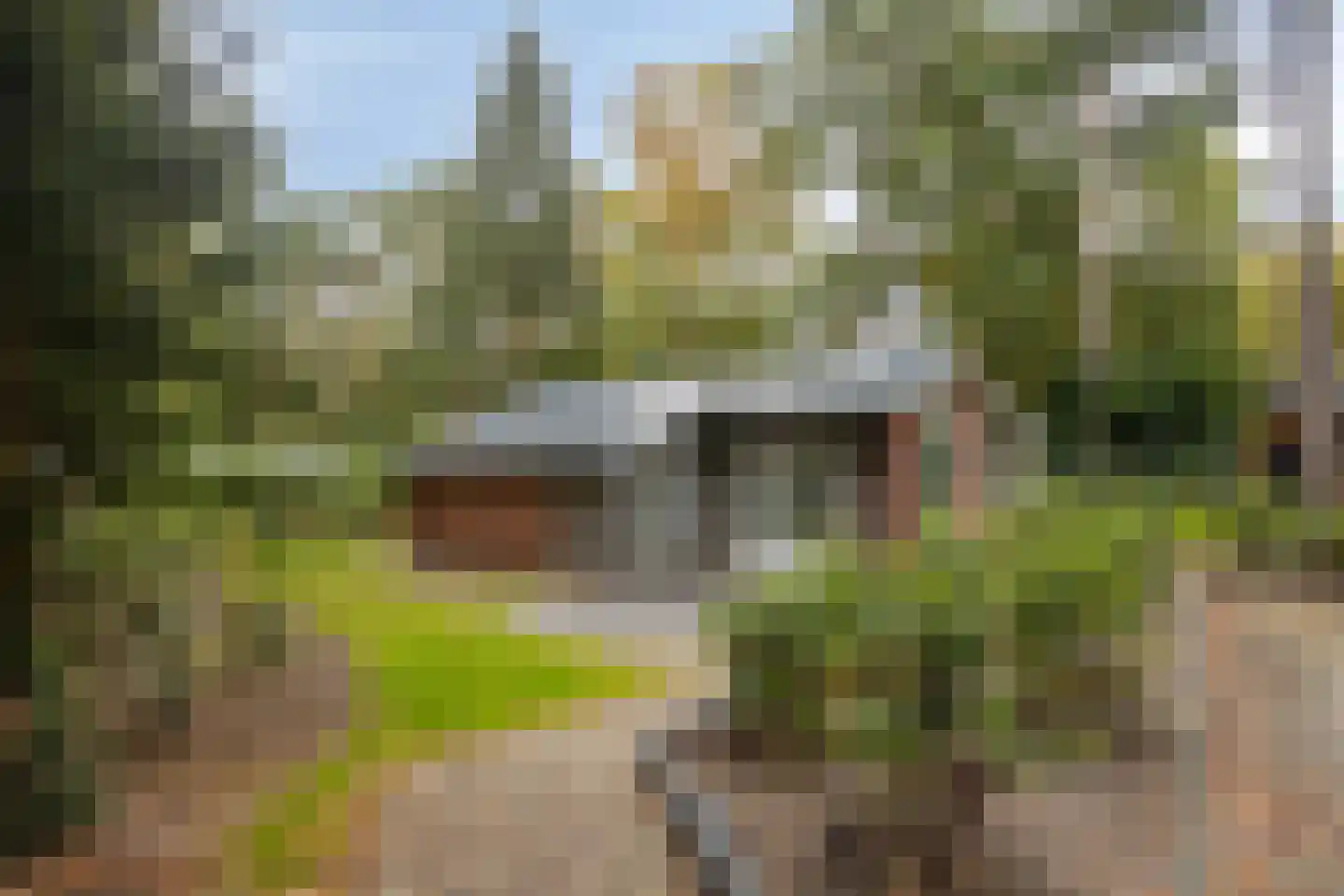 Winkelbergweg 16 Holten thumbnail 28