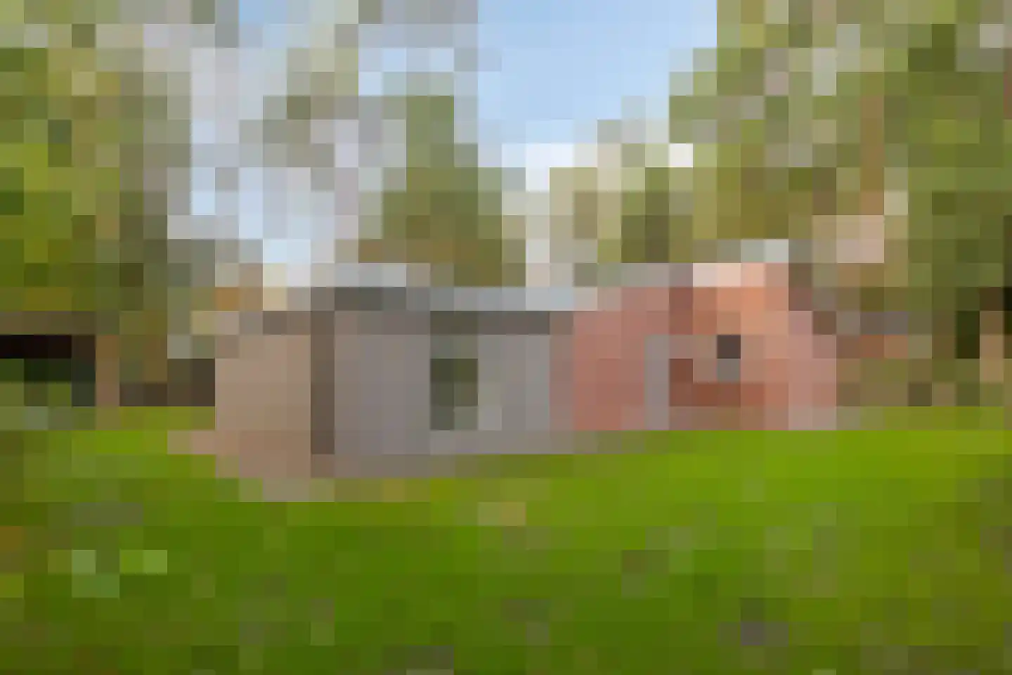 Winkelbergweg 16 Holten thumbnail 35