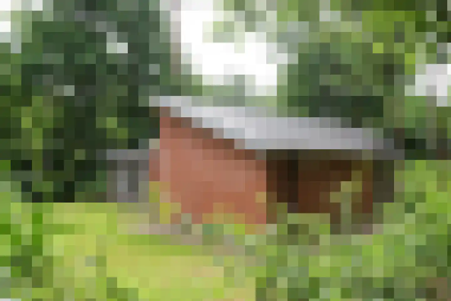 Winkelbergweg 16 Holten thumbnail 8