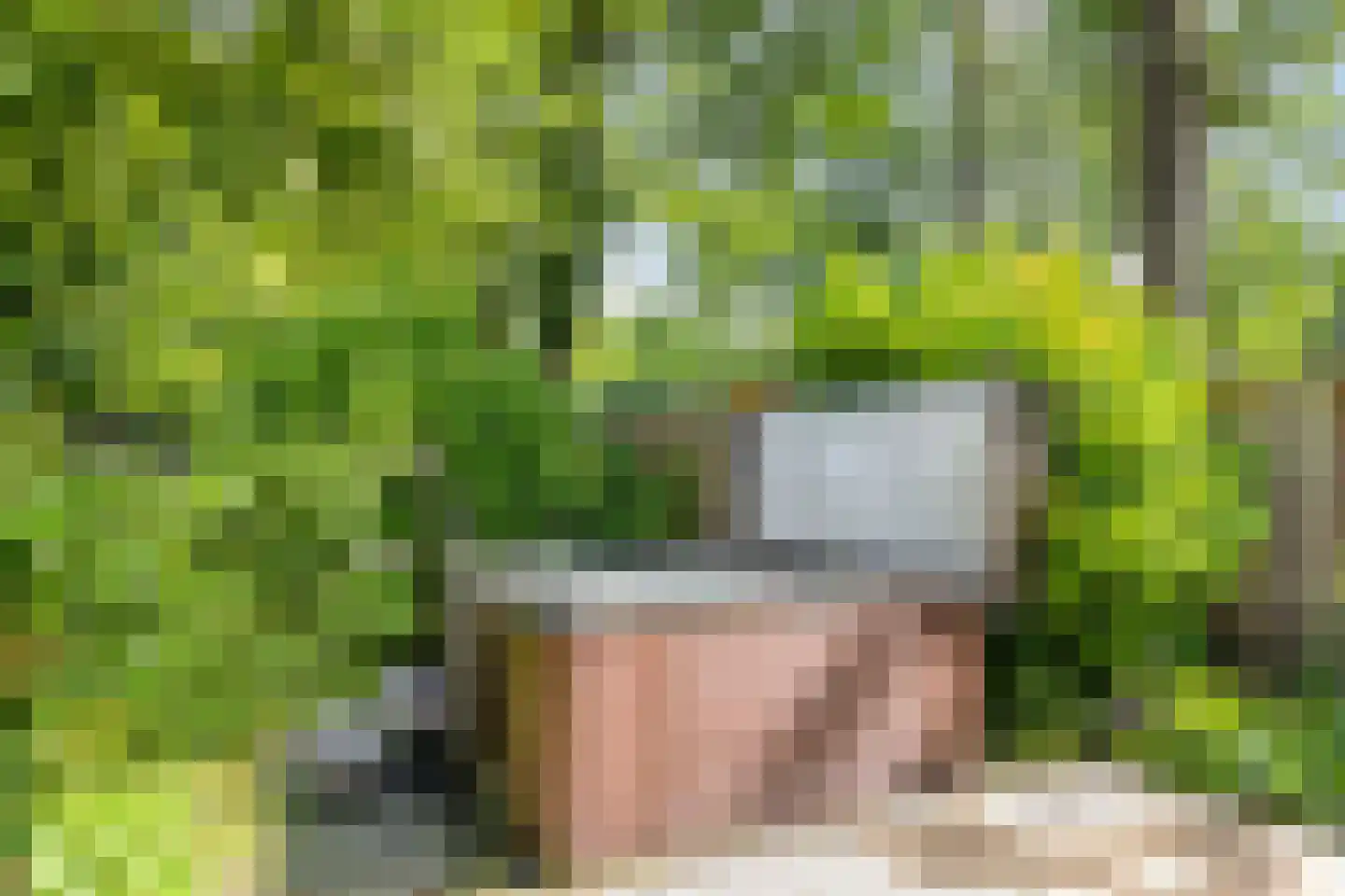 Winkelbergweg 20 Holten thumbnail 17