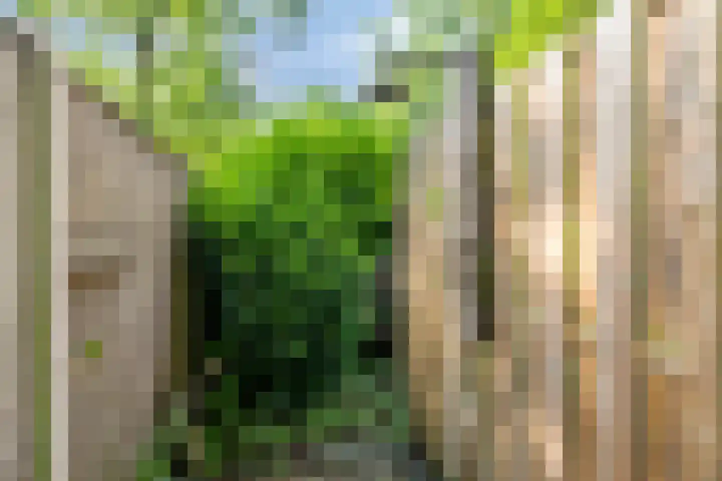 Winkelbergweg 20 Holten thumbnail 18