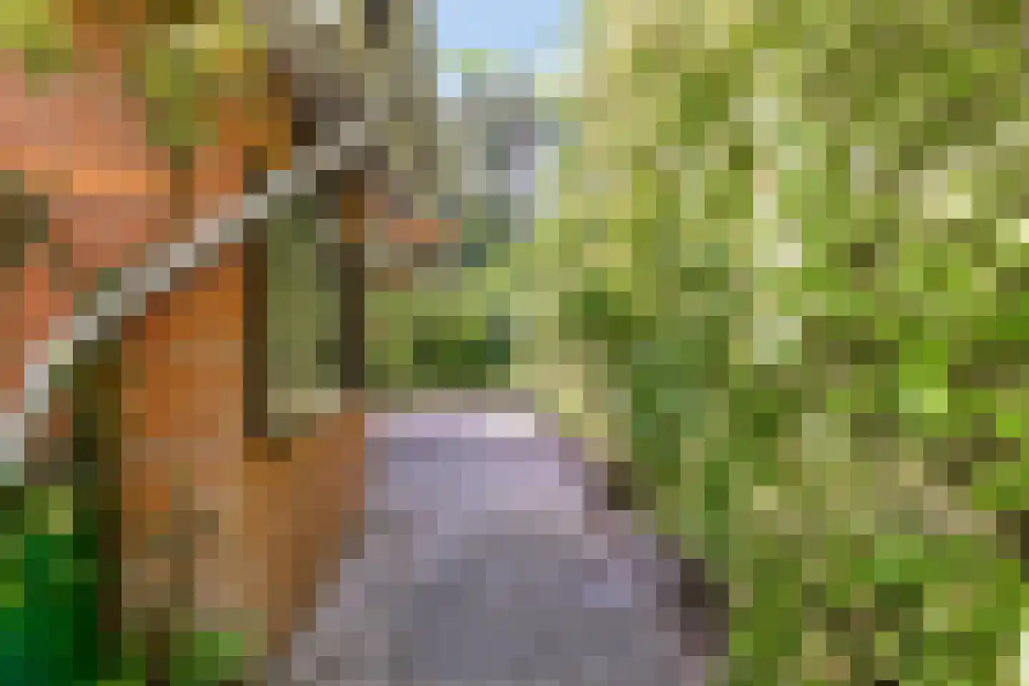 Winkelbergweg 20 Holten thumbnail 21