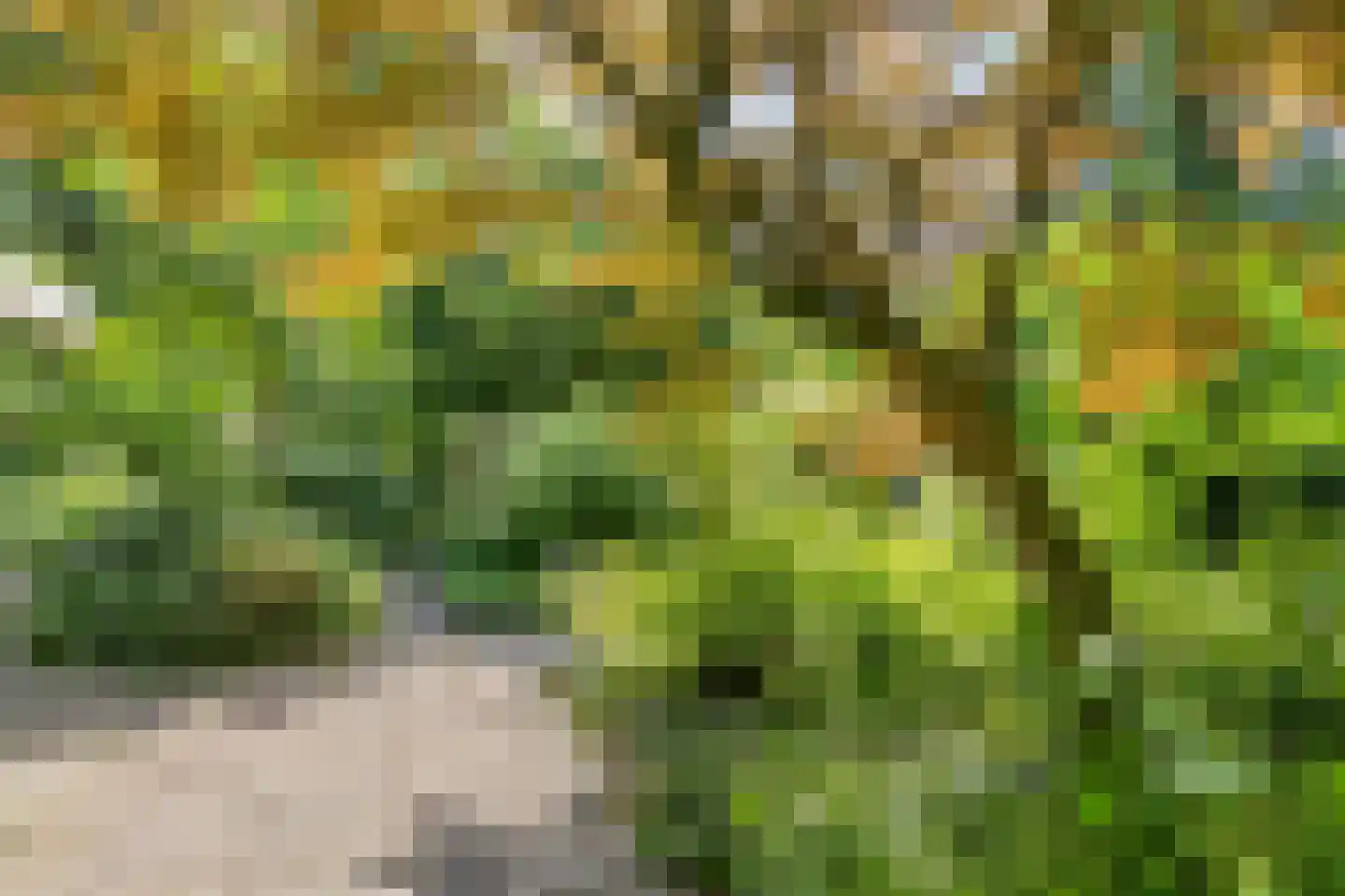 Winkelbergweg 20 Holten thumbnail 23