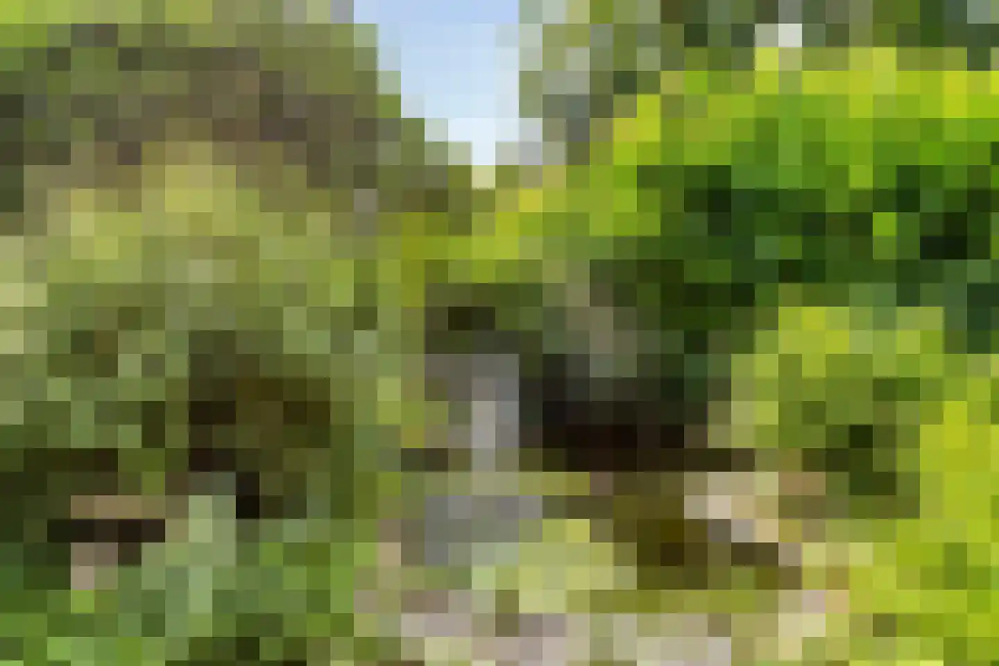 Winkelbergweg 20 Holten thumbnail 24