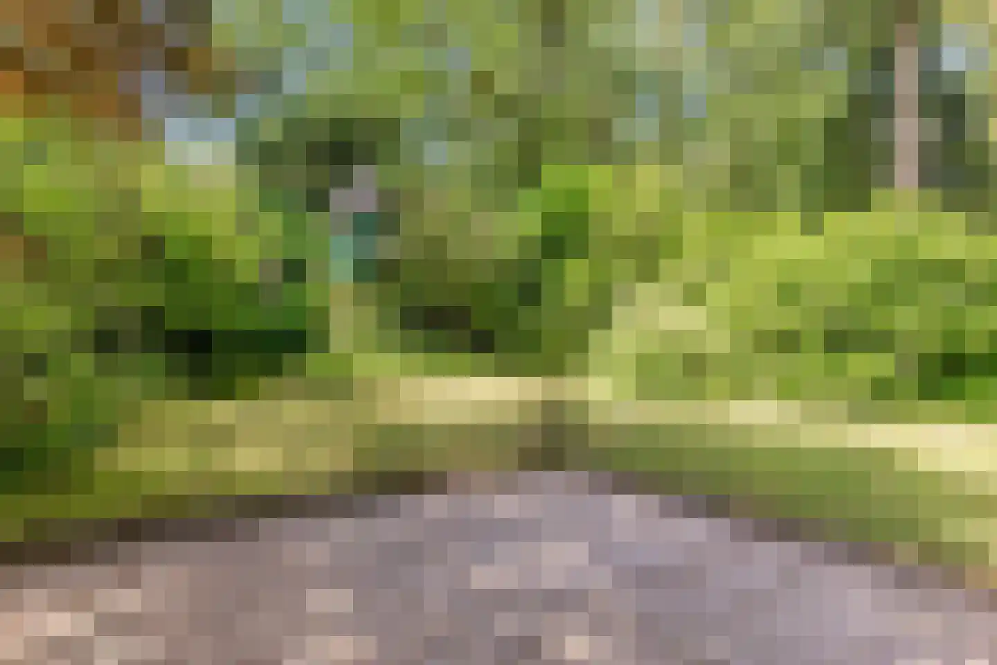 Winkelbergweg 20 Holten thumbnail 25