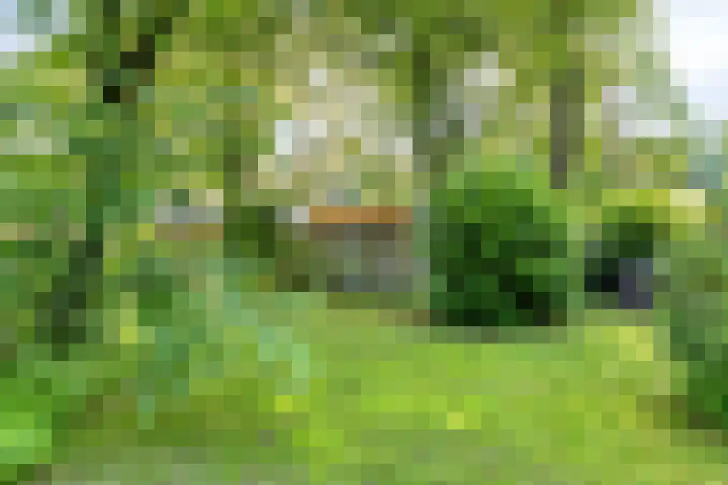 Winkelbergweg 20 Holten thumbnail 26