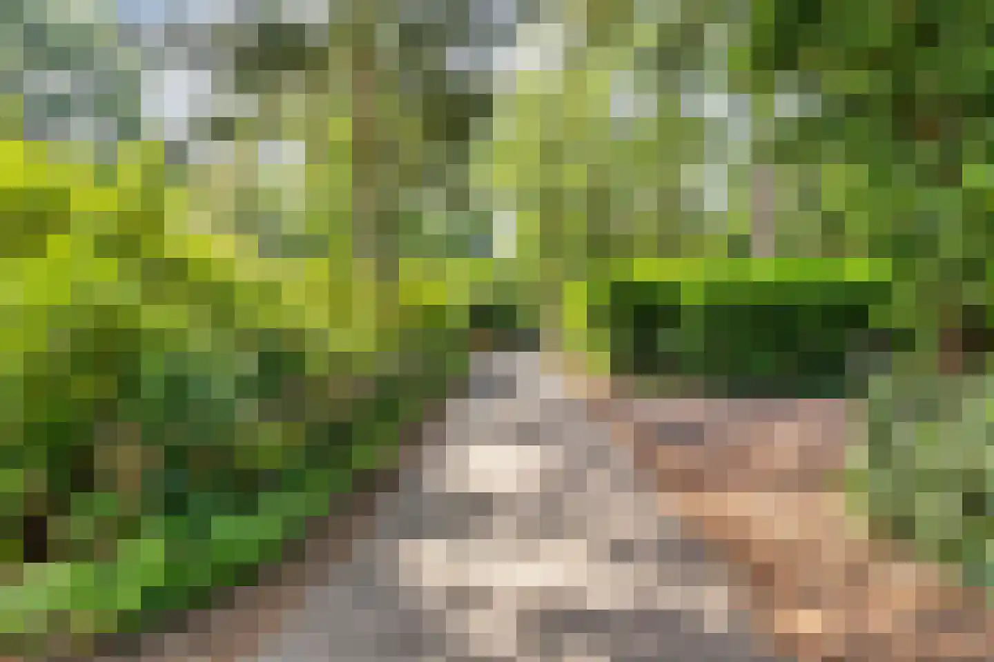 Winkelbergweg 20 Holten thumbnail 28