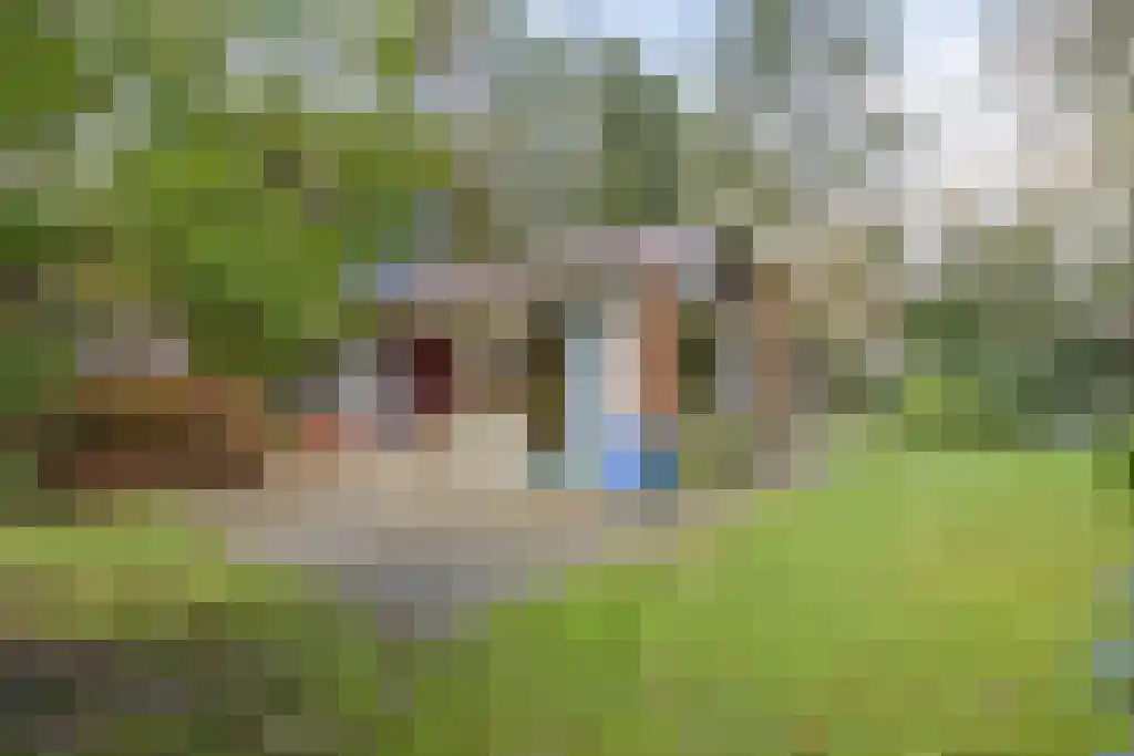 Winkelbergweg 24 Holten thumbnail 17