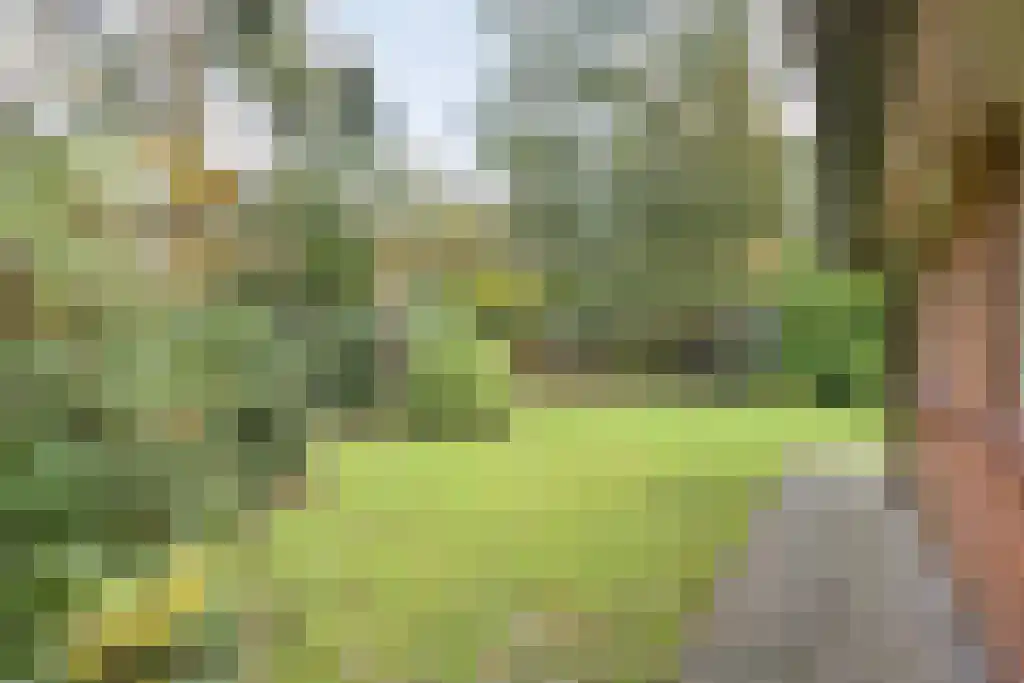 Winkelbergweg 24 Holten thumbnail 19