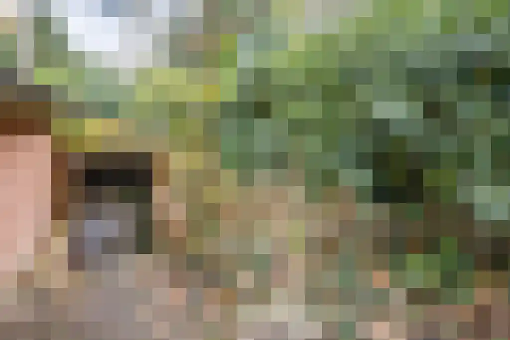 Winkelbergweg 24 Holten thumbnail 20