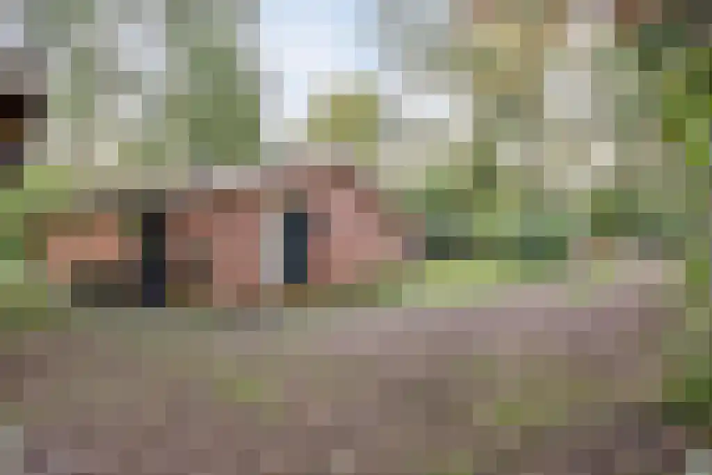Winkelbergweg 24 Holten thumbnail 23