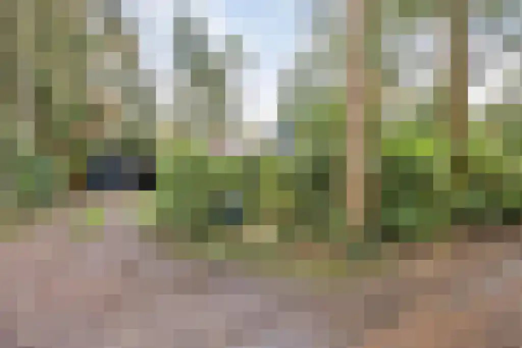 Winkelbergweg 24 Holten thumbnail 25