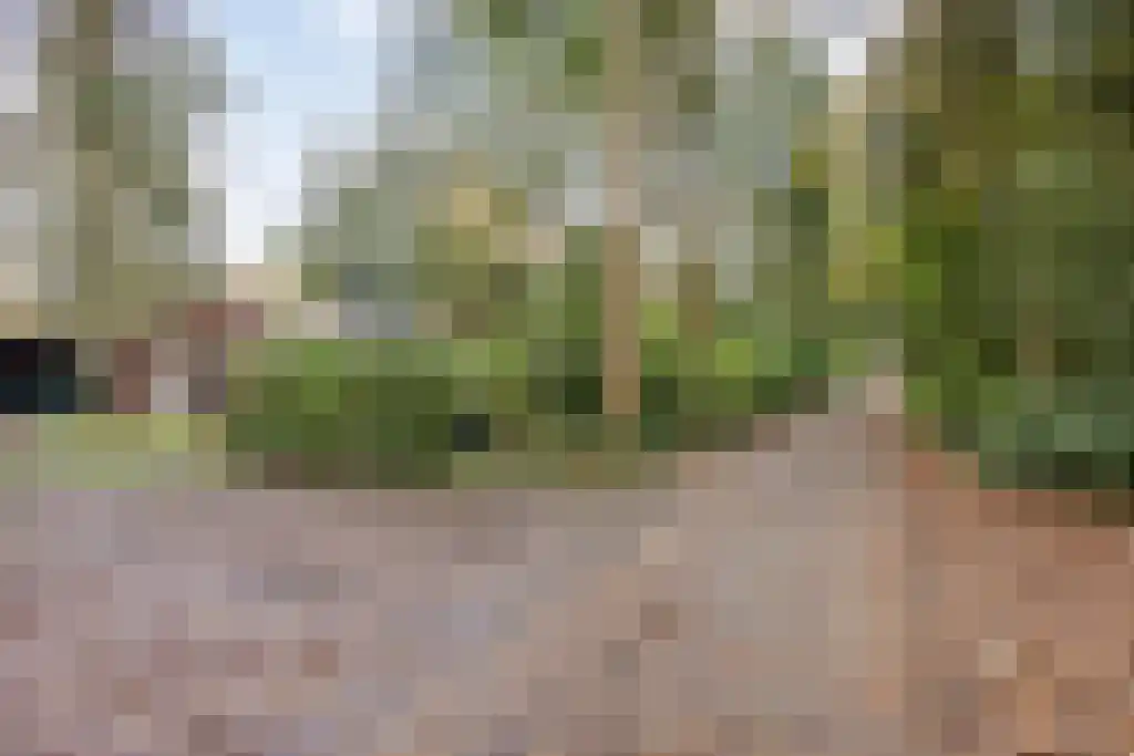 Winkelbergweg 24 Holten thumbnail 26