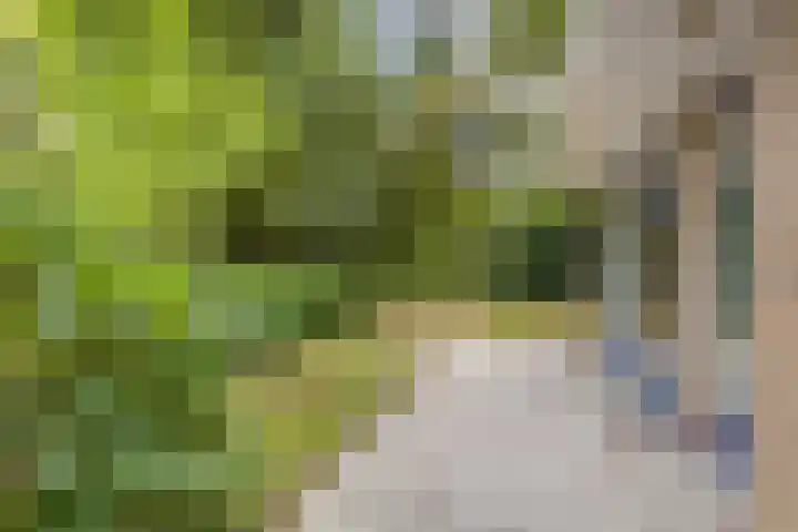 Winkelbergweg 49 Holten thumbnail 21