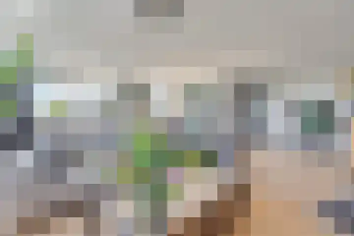 Winkelcentrum Woensel 141 Eindhoven thumbnail 15