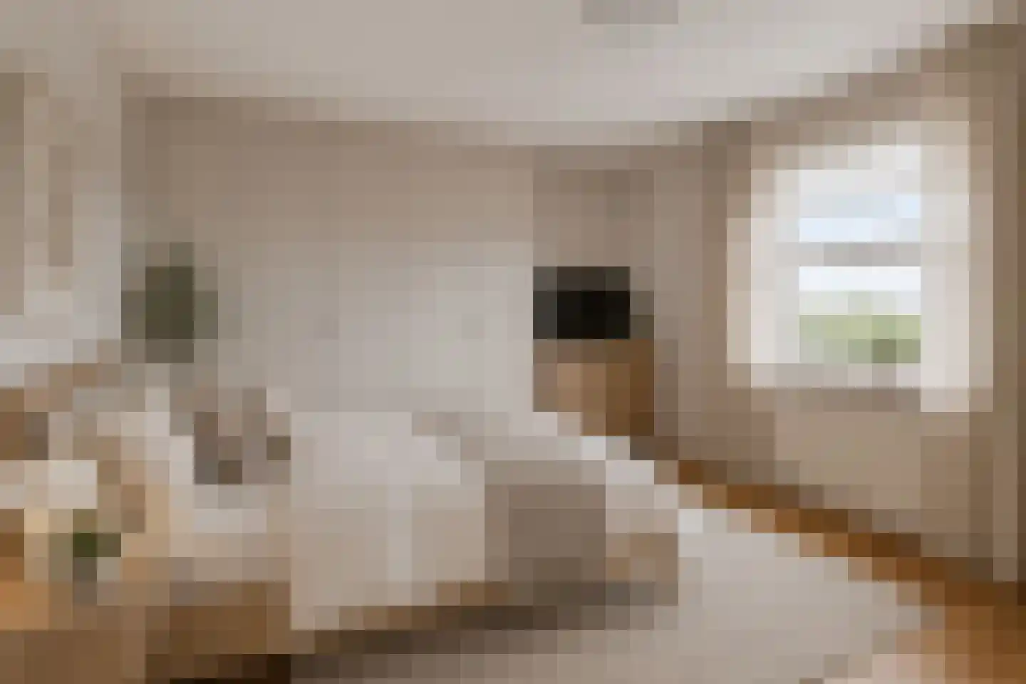 Winkelcentrum Woensel 151 Eindhoven thumbnail 18