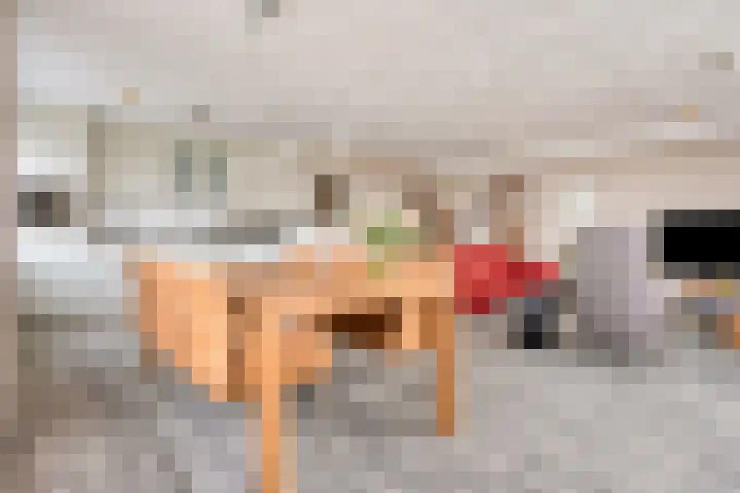 Winkelcentrum Woensel 166 Eindhoven thumbnail 18