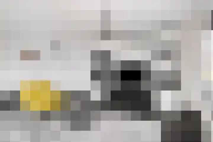 Winkelcentrum Woensel 177 Eindhoven thumbnail 6