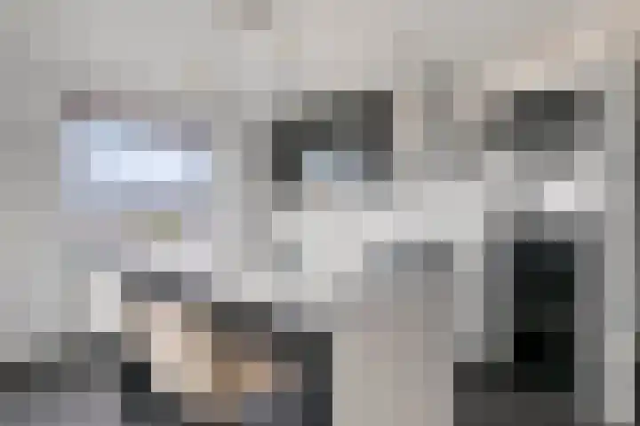 Winkelcentrum Woensel 177 Eindhoven thumbnail 9