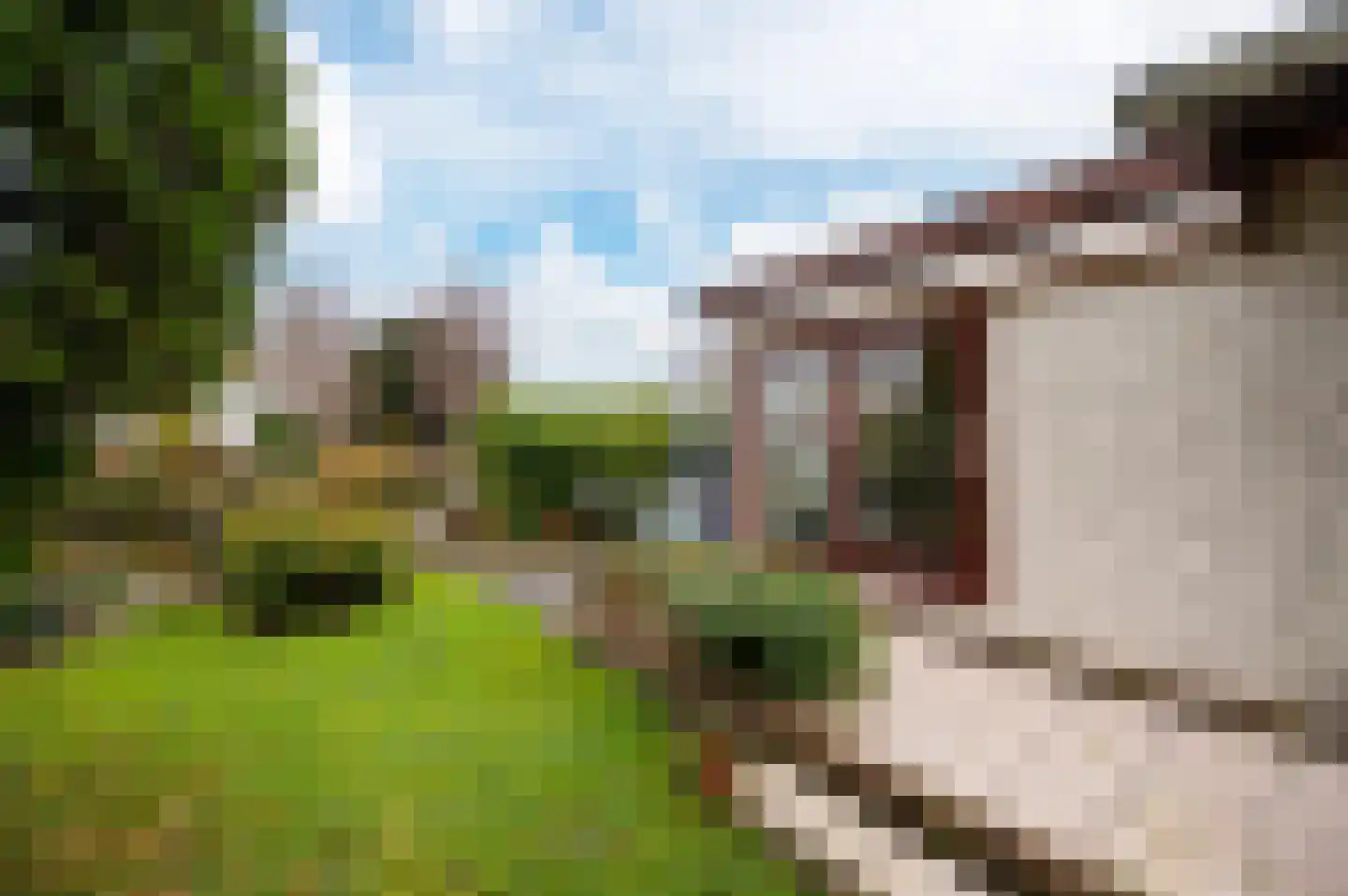 Winkeldijk 19 A R85 Vinkeveen thumbnail 23