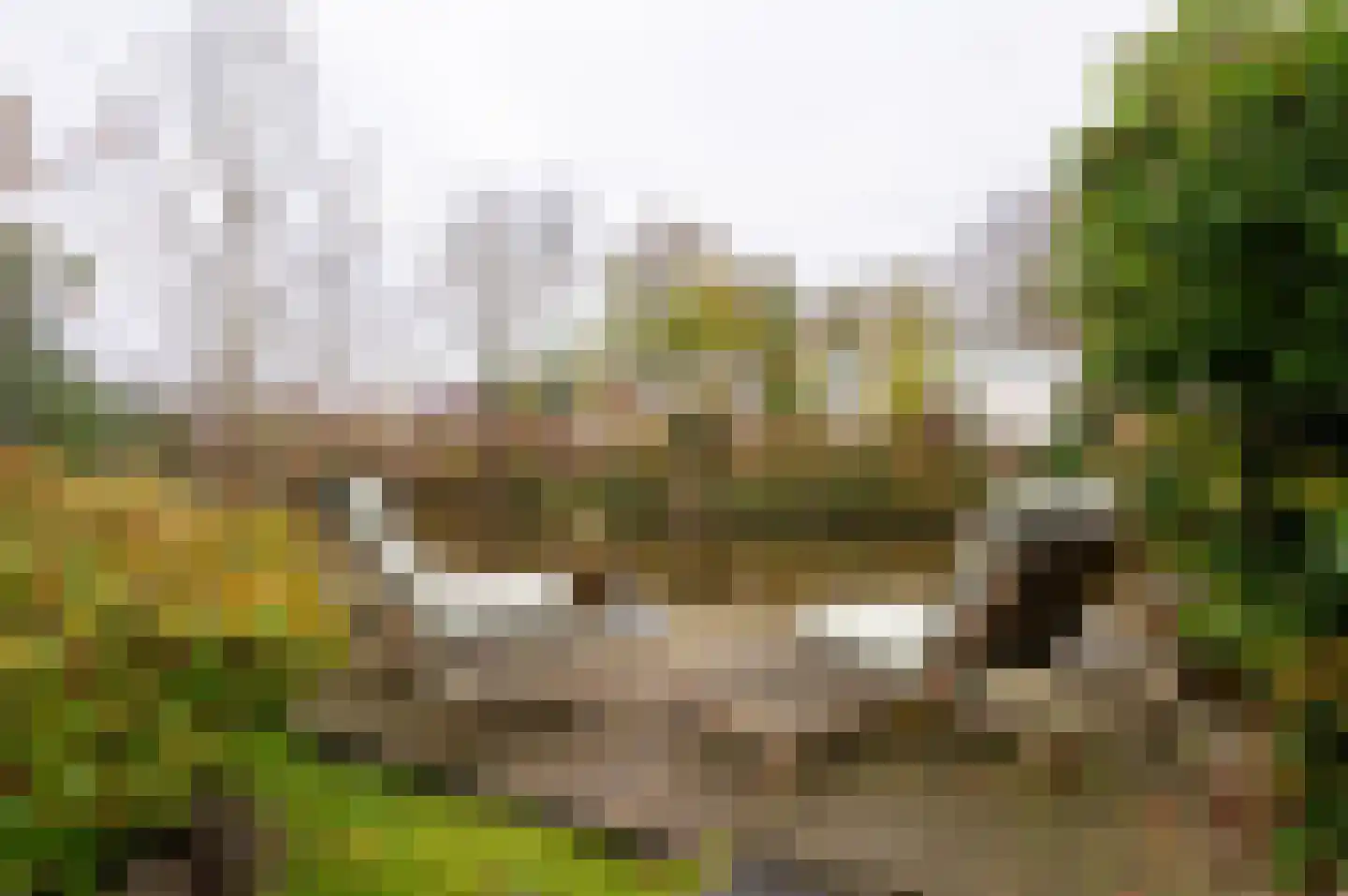 Winkeldijk 19 A R85 Vinkeveen thumbnail 24