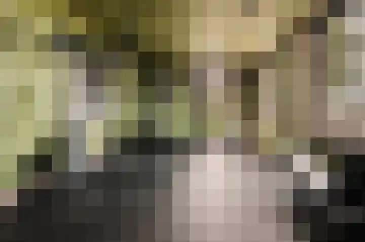 Winkeldijk 39 Abcoude thumbnail 40