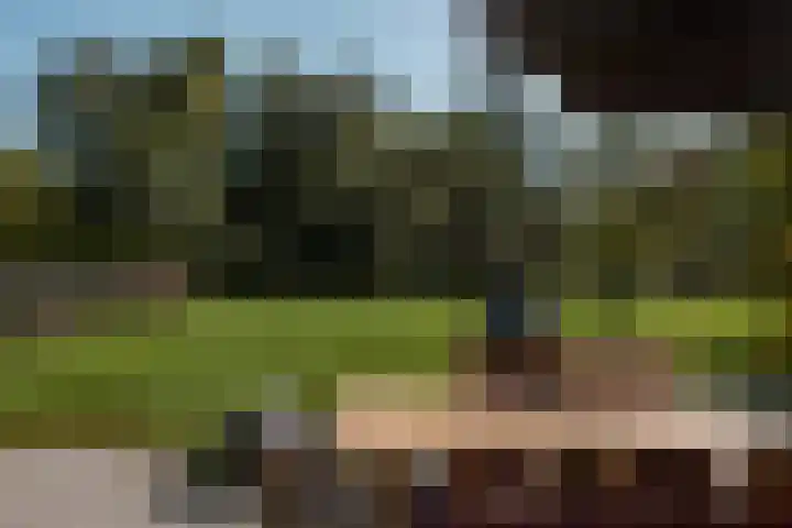 Winkeldijk 39 Abcoude thumbnail 50