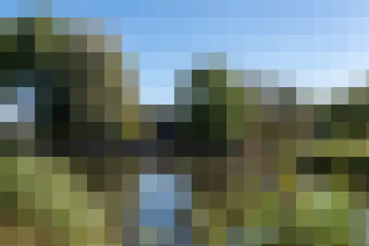 Winkeldijk 39 Abcoude thumbnail 69