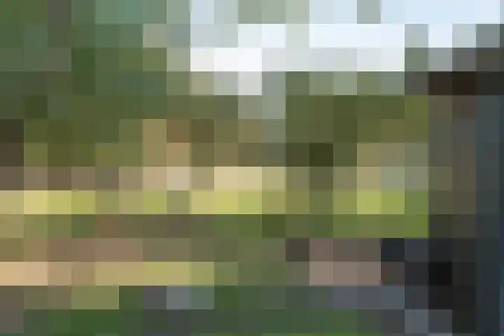 Winkeldijk 39 Abcoude thumbnail 71