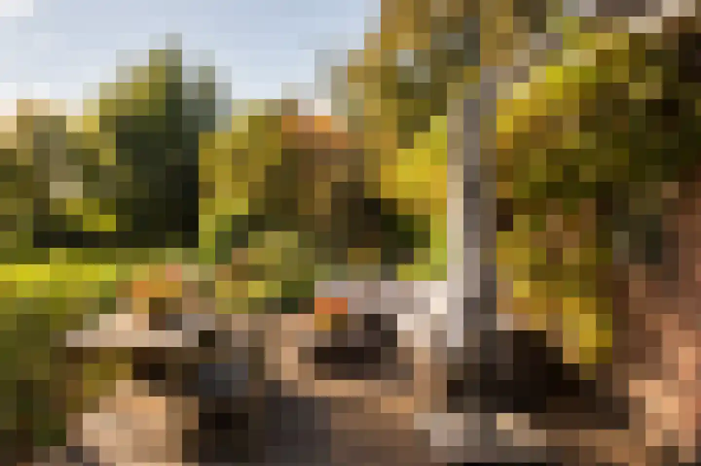 Winkeldijk 43 Abcoude thumbnail 26