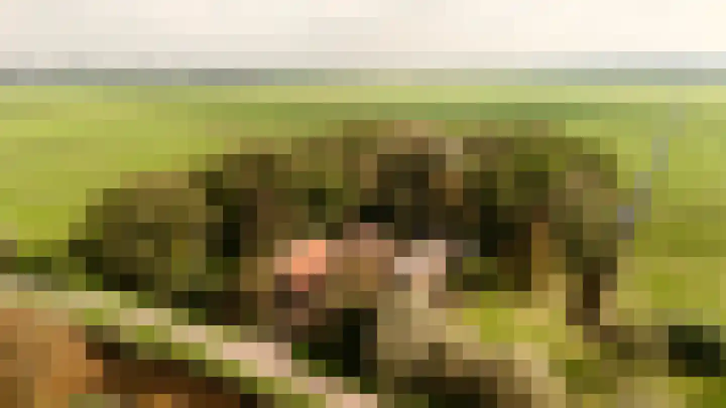 Winkeldijk 43 Abcoude thumbnail 4