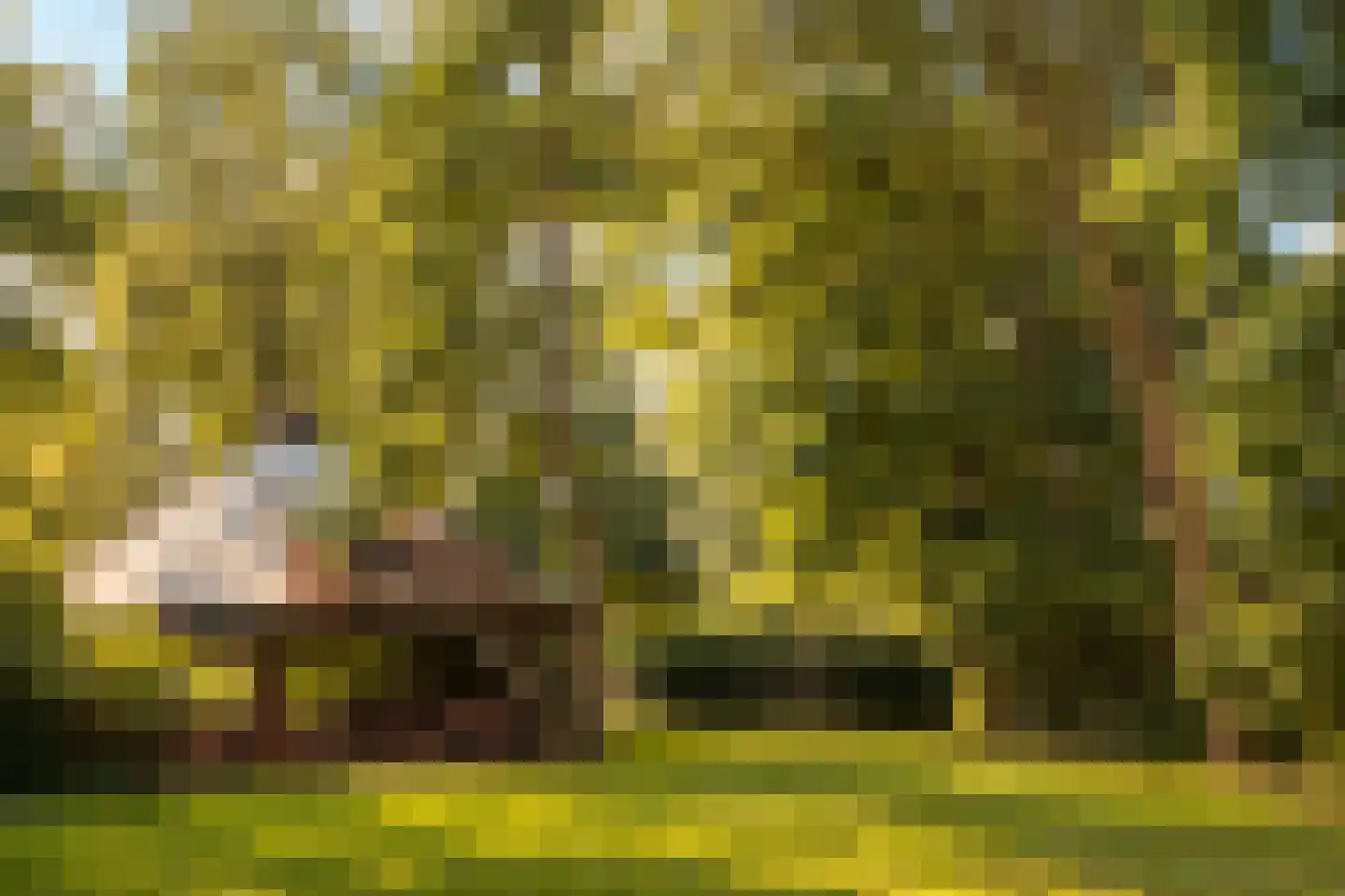 Winkeldijk 43 Abcoude thumbnail 44