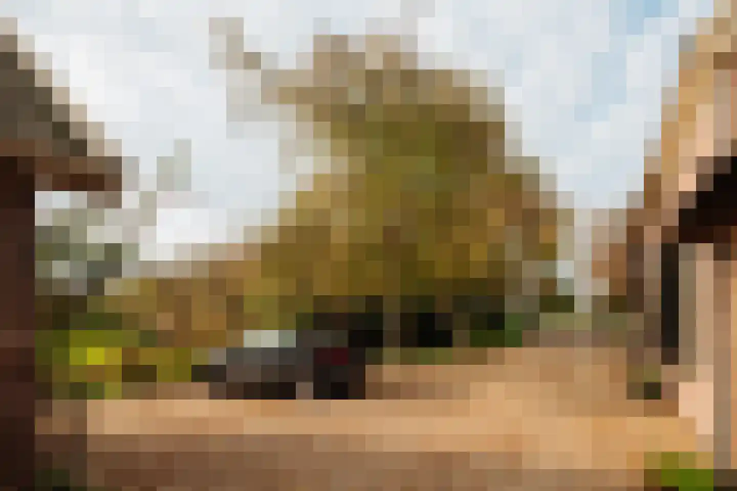 Winkeldijk 43 Abcoude thumbnail 49